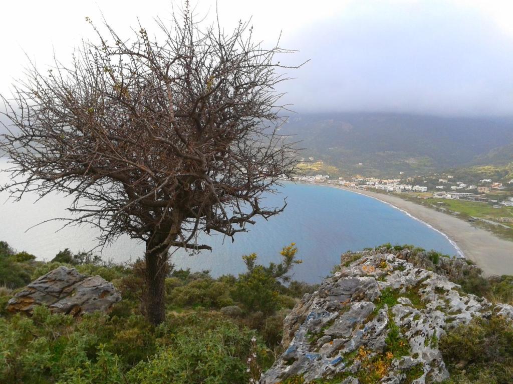 Διαμέρισμα Flisvos *